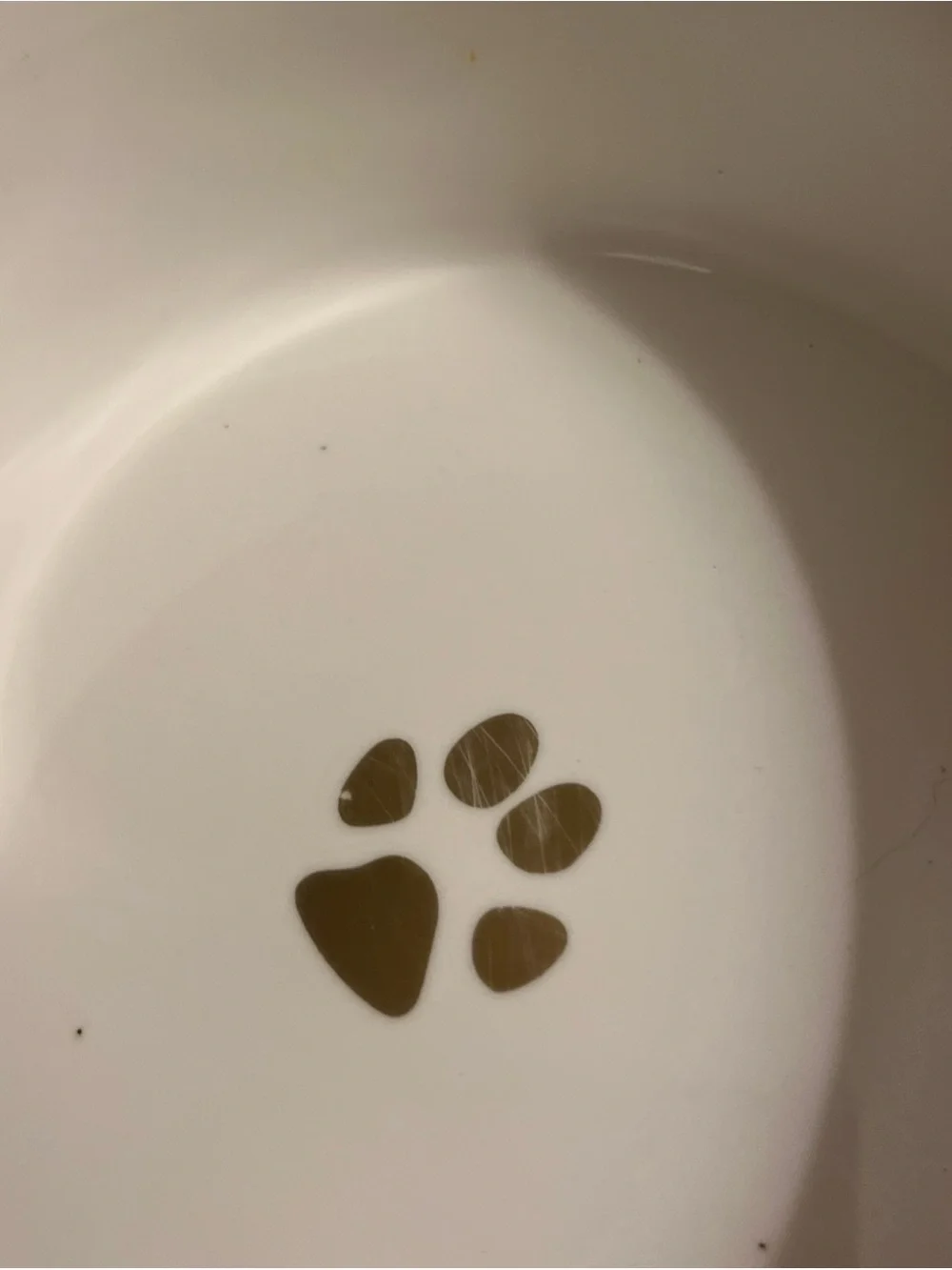 Fido's Diner Ceramic Water and Food Bowl Set White Gray Dots and Gold Rim